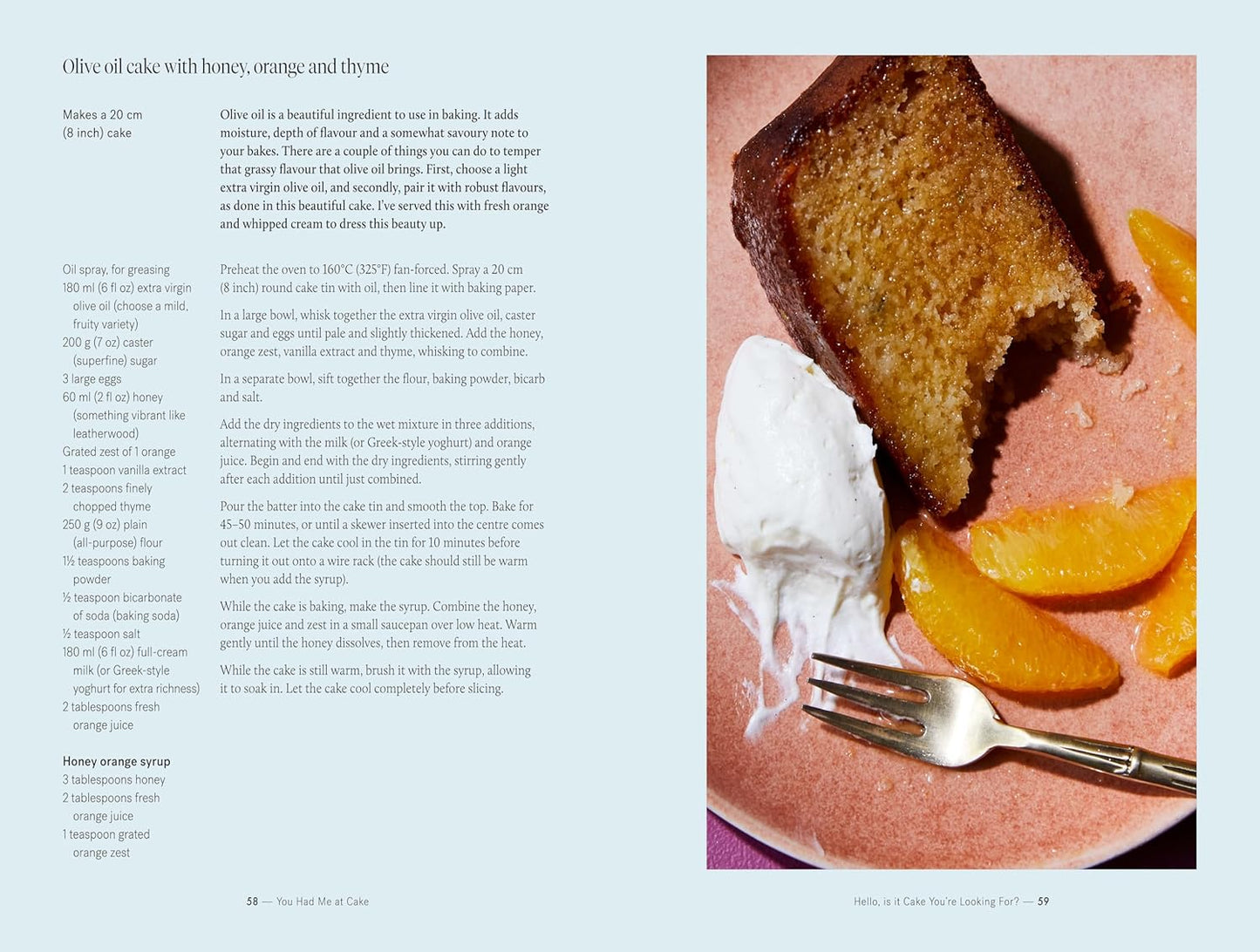 PREORDER You Had Me at Cake