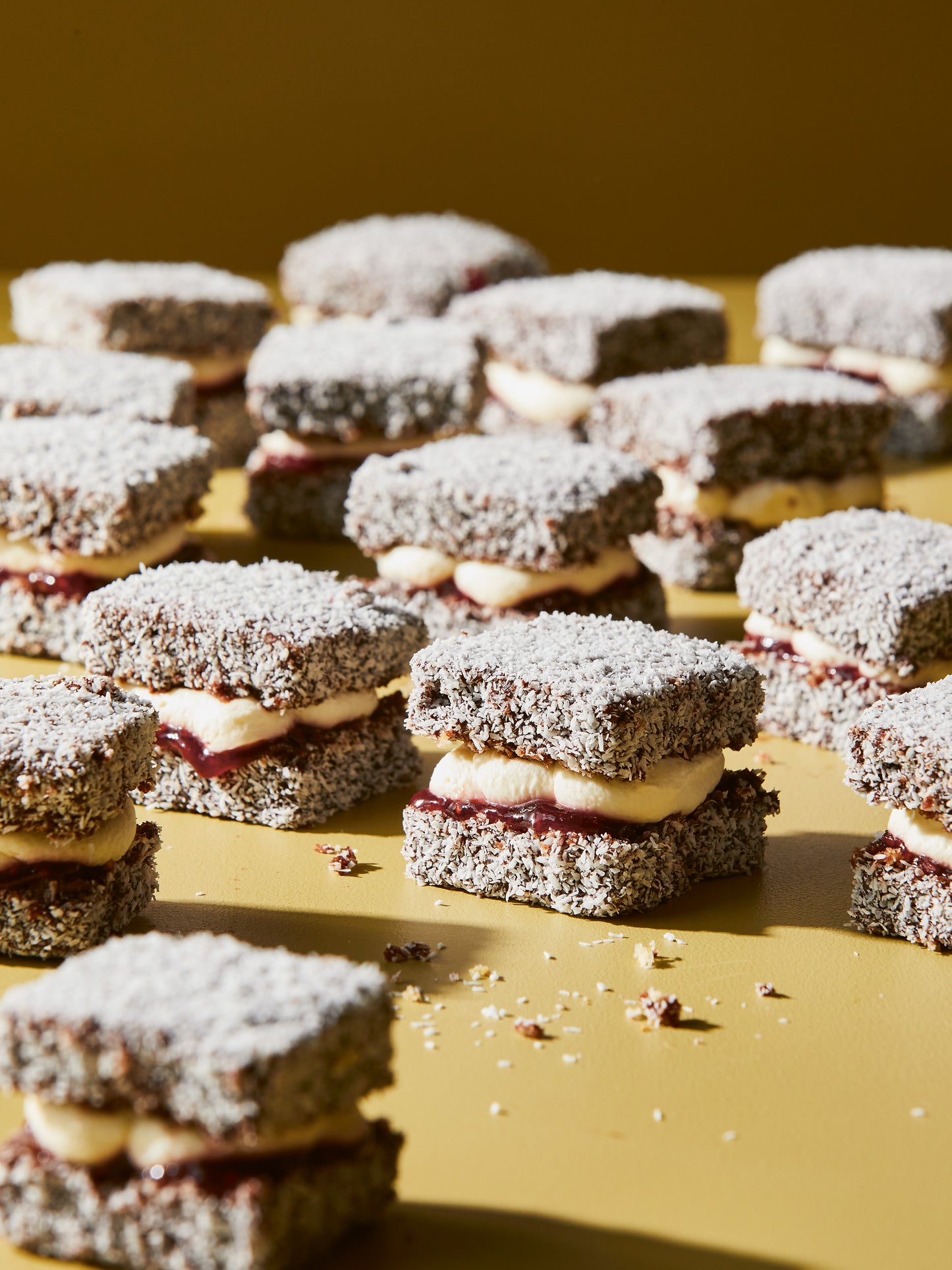 9.30am | Saturday March 21st ALL ABOUT SPONGE